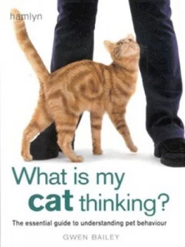 Image of What Is My Cat Thinking by Gwen Bailey Hardback