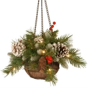 image of National Tree Company Frosted Berry Hanging Basket