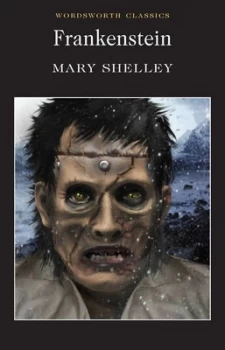 Image of Frankenstein or the Modern Prometheus by Mary Shelley Paperback