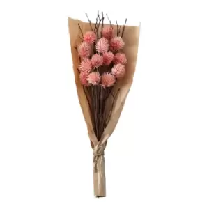 Image of Gallery Interiors Clark Dried Thistle Bundle in Paper Wrap Blush / Large