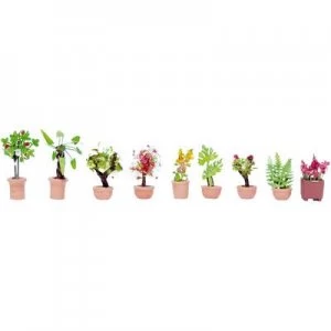 Image of NOCH 14082 N Ornamental plants Assembled