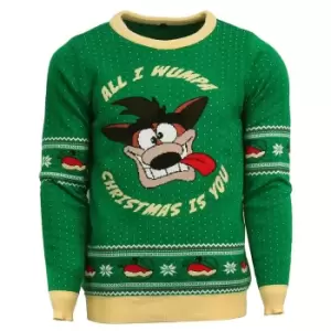 image of Crash Bandicoot Christmas Jumper - Green - L