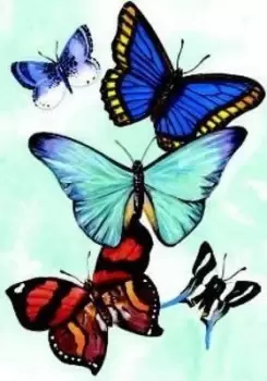 Image of Butterfly Notebook by Sovak