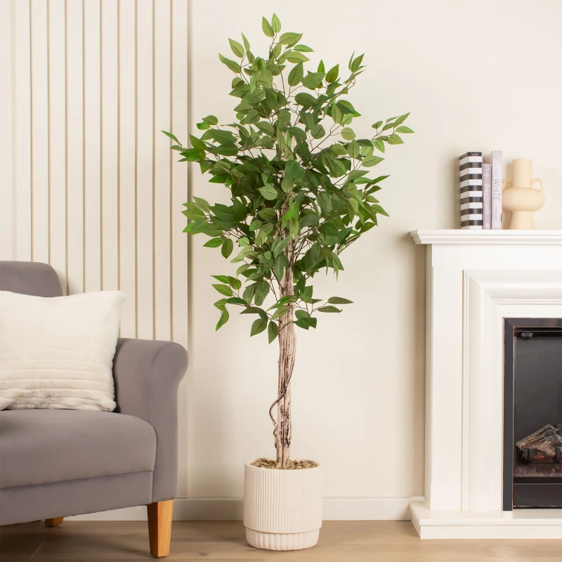 Image of Scottish Everlastings Ltd 160cm Ficus Tree in cement pot in Green Green Unisex