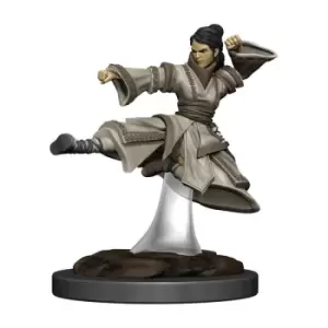 Image of D&amp;D Icons of the Realms Premium Miniature pre-painted Human Monk Female Case (6)