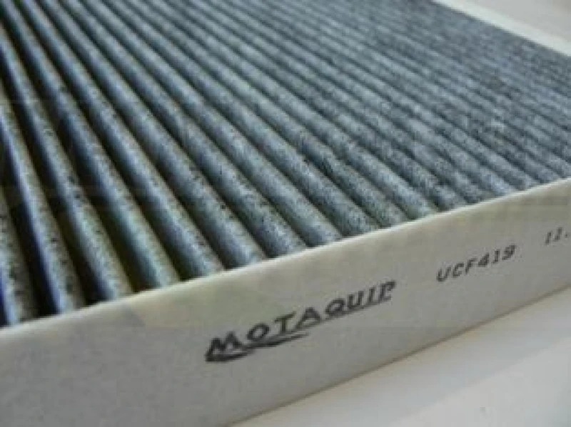 Image of MOTAQUIP Pollen filter MOTAQUIP VCF419