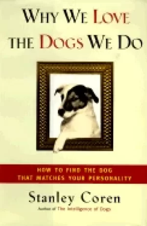 Image of why we love the dogs we do how to find the dog that matches your personalit