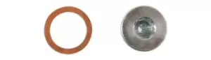 Image of HGV Sump Plug to suit Renault Pk 1 Connect 33153