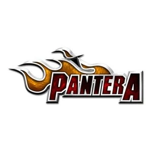 Image of Pantera - Flame Logo Pin Badge
