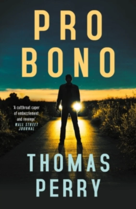 Image of Pro Bono Paperback / softback