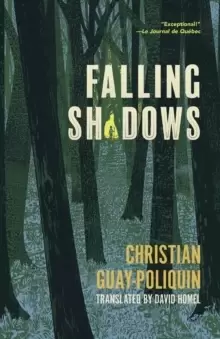 Image of Falling Shadows