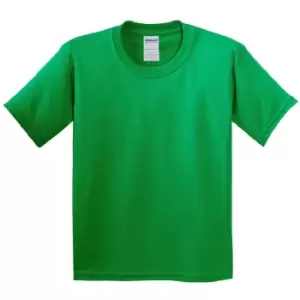 image of Gildan Youth Unisex Heavy Cotton T-Shirt (M) (Irish Green)