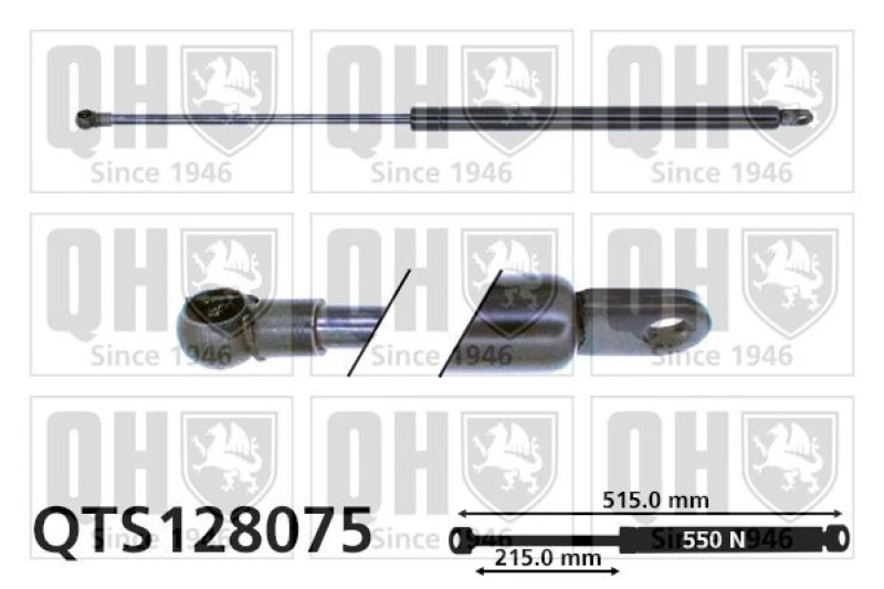 Image of QUINTON HAZELL Tailgate strut QUINTON HAZELL QTS128075