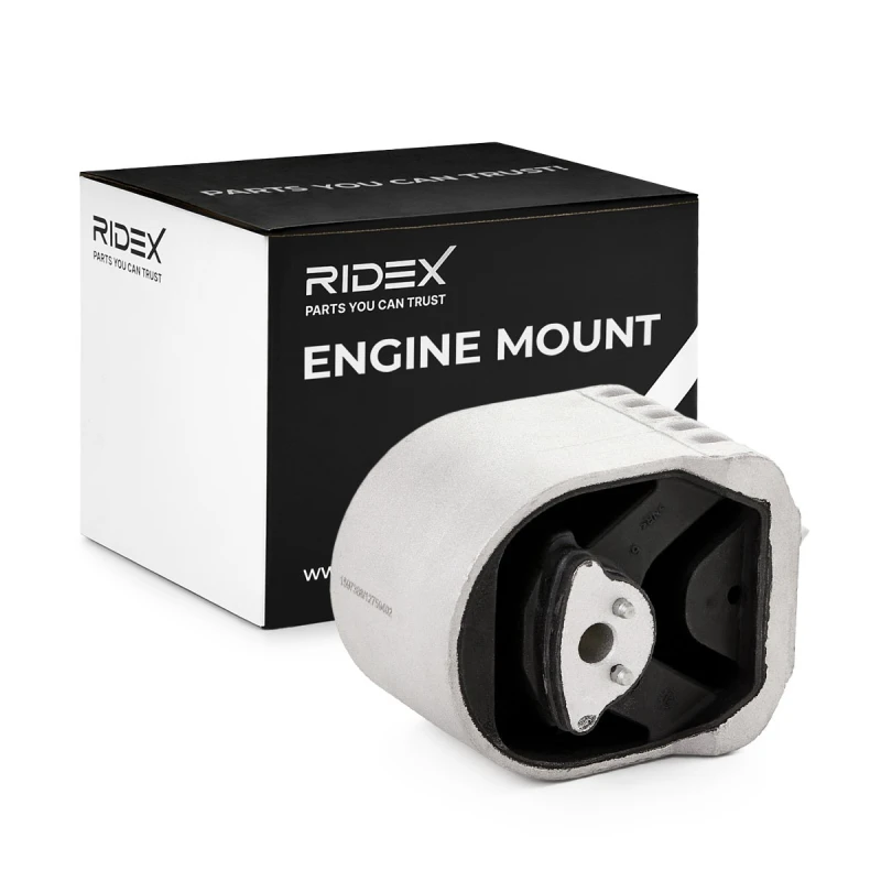 Image of Engine mount RIDEX 247E0293