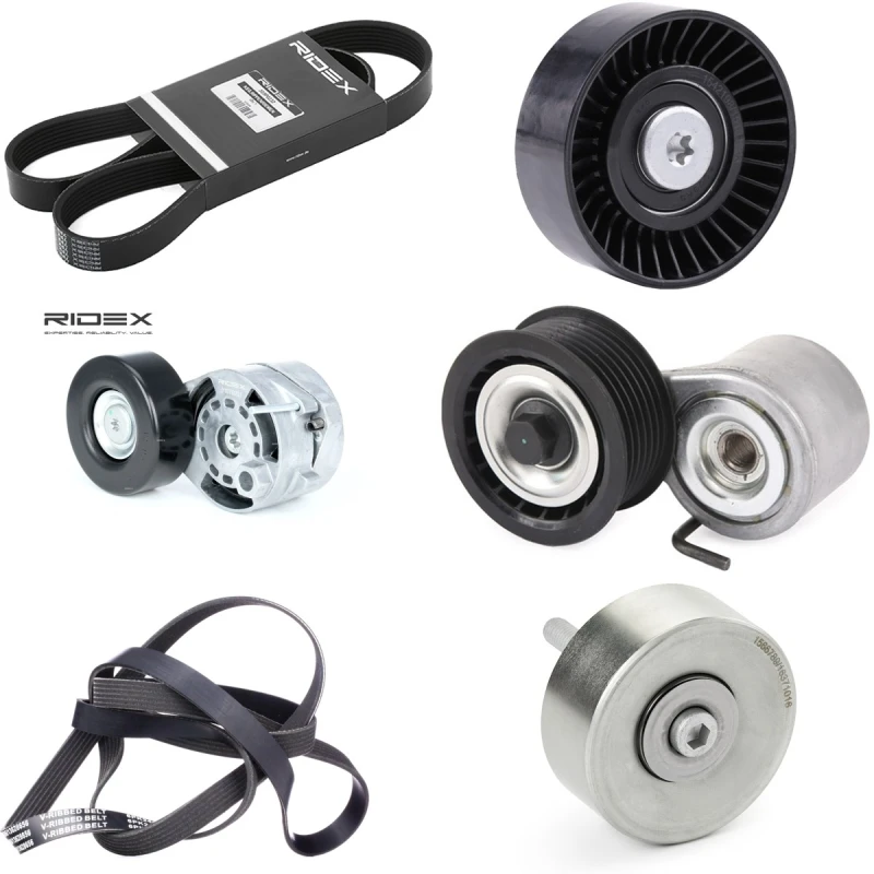 Image of RIDEX 542R1203 V-ribbed belt set V-Ribbed Belt Set (542)