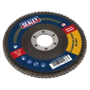 Image of Flap Disc Aluminium Oxide 100mm 16mm Bore 80Grit