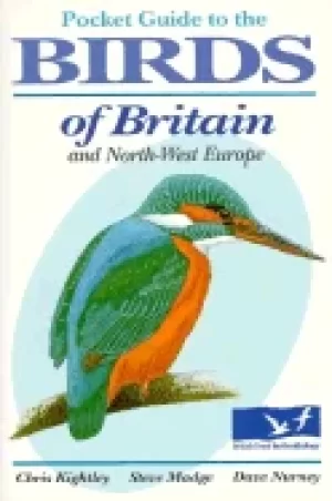 Image of pocket guide to the birds of britain and north west europe