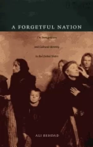 Image of forgetful nation on immigration and cultural identity in the united states