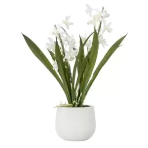 image of Crossland Grove Potted Cymbidium Orchid (real Touch) White H410Mm