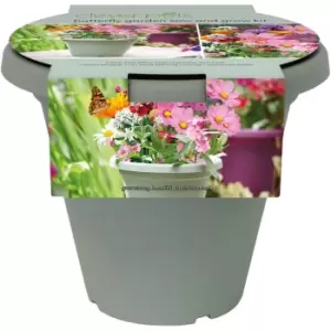 image of Butterfly Garden Sow and Grow kit - Green - Clever Pots