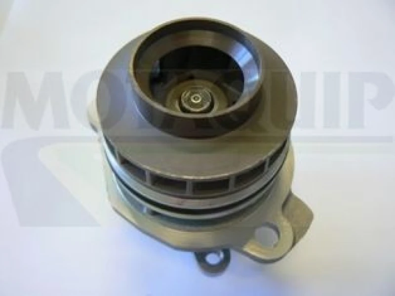 Image of MOTAQUIP Water pump MOTAQUIP VWP870