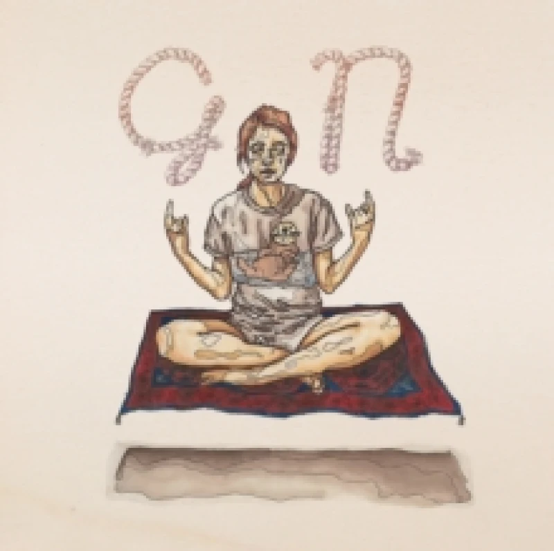 Image of GN Vinyl