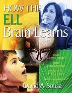 Image of how the ell brain learns
