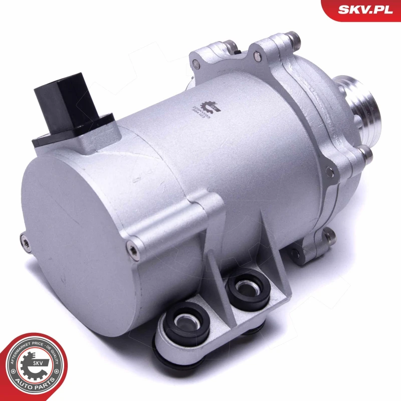 Image of ESEN SKV Water pump ESEN SKV 22SKV055