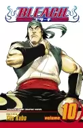Image of bleach vol 10