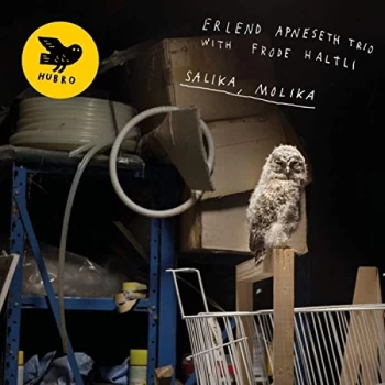 image of Erlend Apneseth Trio with Frode Haltli - Salika. Molika Vinyl