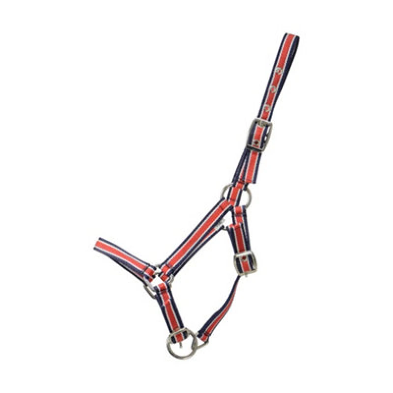 Image of Hy Foal Plus Head Collar Red/navy (One Size)