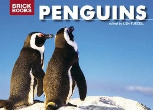 Image of Penguins Book