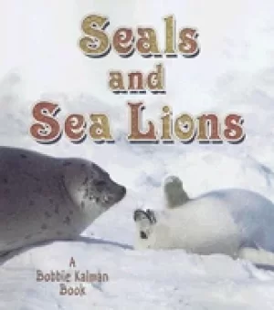 Image of seals and sea lions