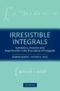 Image of irresistible integrals symbolics analysis and experiments in the evaluatio