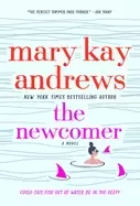 Image of newcomer a novel