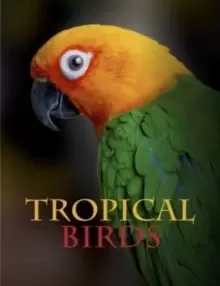 Image of Tropical Birds