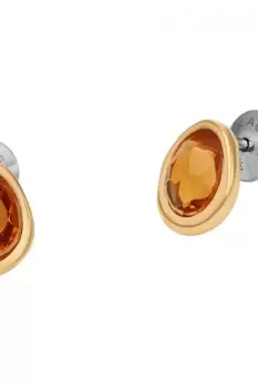 Image of Ladies Skagen Jewellery SEA GLASS Earrings SKJ1739710