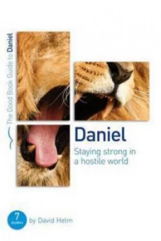 Image of Staying Strong in a Hostile World by David R Helm Paperback