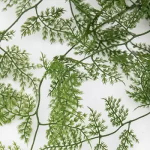 image of Crossland Grove Trailing Wood Fern In Soil Green L610Mm