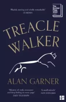 Image of Treacle Walker - Alan Garner - Paperback - Used