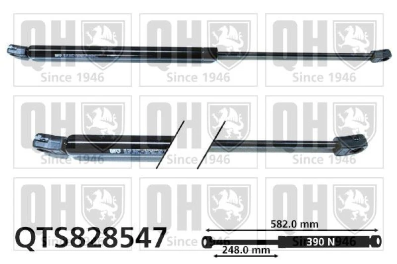 Image of QUINTON HAZELL Tailgate strut QUINTON HAZELL QTS828547