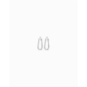 Image of Prosperity Silver Brass Earrings