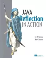 Image of java reflection in action