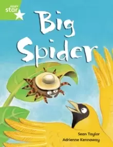 Image of Rigby Star Guided Phonic Opportunity Readers Green: Big Spider Pupil Book (Single)