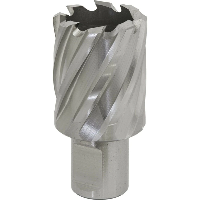 Image of Loops 30mm x 25mm Depth Rotabor Cutter - M2 Steel Annular Metal Core Drill 19mm Shank Metallics