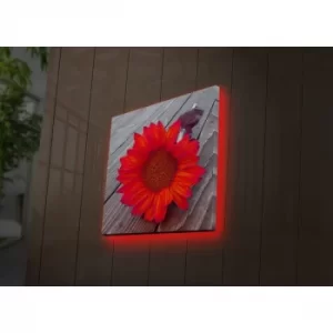 Image of 4040DACT-50 Multicolor Decorative LED Lighted Canvas Painting
