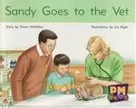 Image of PM Blue: Sandy Goes to the Vet (PM Gems) Levels 9, 10, 11
