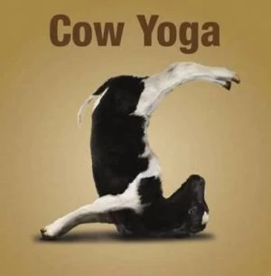 Image of Cow Yoga Hardback