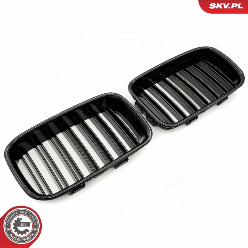 Image of ESEN SKV Radiator Grille ESEN SKV 66SKV047