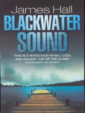 Image of Blackwater sound by James W Hall